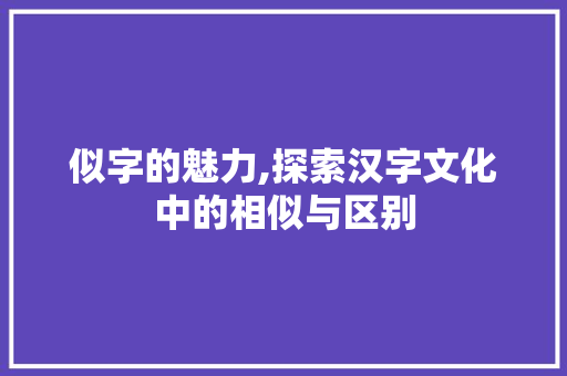似字的魅力,探索汉字文化中的相似与区别