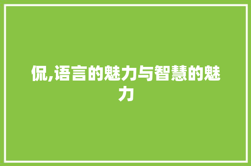 侃,语言的魅力与智慧的魅力 项目报告
