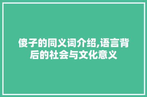 傻子的同义词介绍,语言背后的社会与文化意义 诗词应用