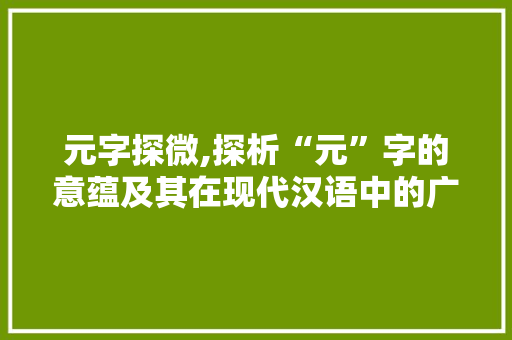 元字探微,探析“元”字的意蕴及其在现代汉语中的广泛应用 应用文