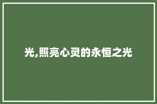 光,照亮心灵的永恒之光