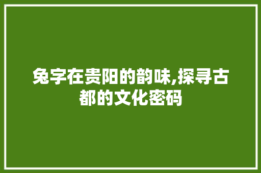 兔字在贵阳的韵味,探寻古都的文化密码