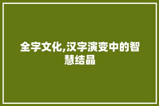 全字文化,汉字演变中的智慧结晶