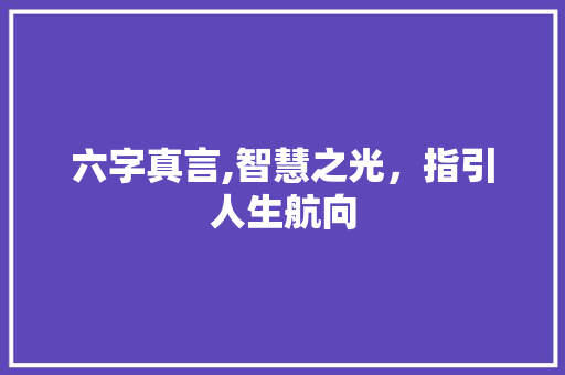 六字真言,智慧之光，指引人生航向 会议纪要