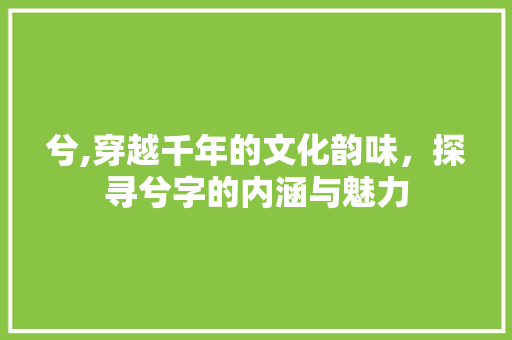 兮,穿越千年的文化韵味，探寻兮字的内涵与魅力
