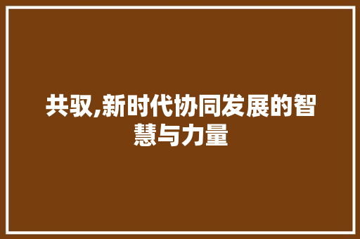 共驭,新时代协同发展的智慧与力量