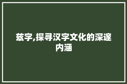 兹字,探寻汉字文化的深邃内涵