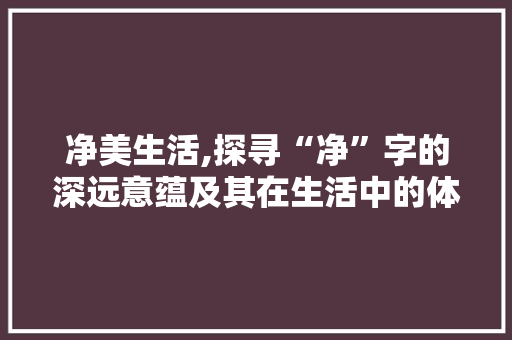 净美生活,探寻“净”字的深远意蕴及其在生活中的体现