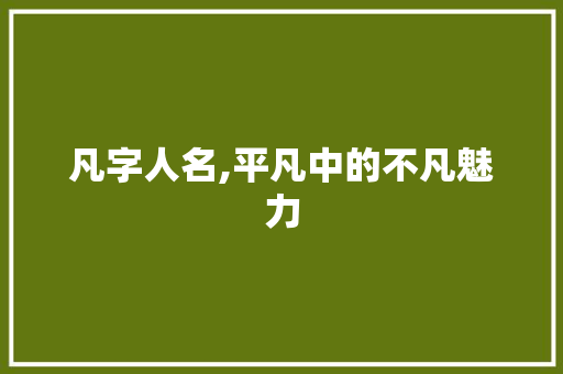 凡字人名,平凡中的不凡魅力 工作总结