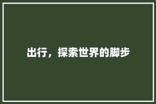 出行，探索世界的脚步