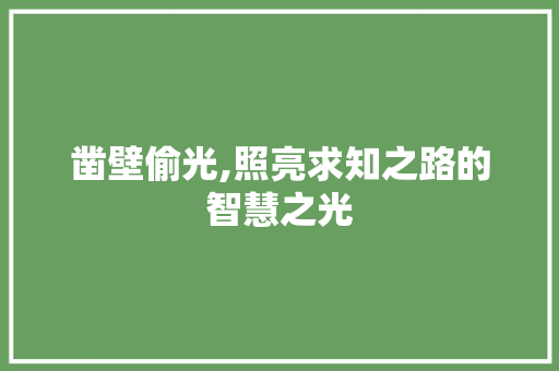 凿壁偷光,照亮求知之路的智慧之光