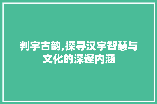 判字古韵,探寻汉字智慧与文化的深邃内涵