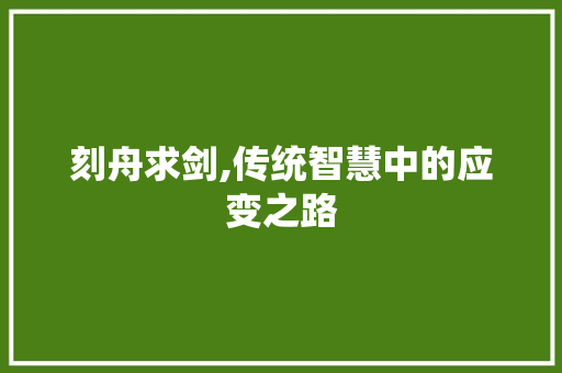 刻舟求剑,传统智慧中的应变之路