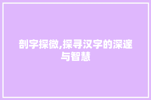 剖字探微,探寻汉字的深邃与智慧