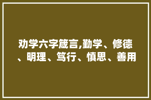 劝学六字箴言,勤学、修德、明理、笃行、慎思、善用_人生成长的指南针