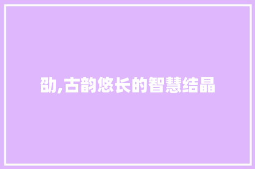 劭,古韵悠长的智慧结晶