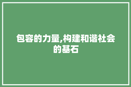 包容的力量,构建和谐社会的基石