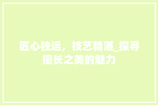 匠心独运，技艺精湛_探寻擅长之美的魅力