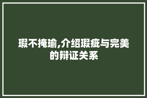 瑕不掩瑜,介绍瑕疵与完美的辩证关系