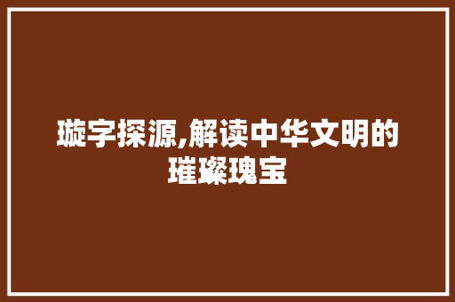 璇字探源,解读中华文明的璀璨瑰宝