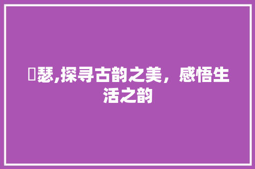 璟瑟,探寻古韵之美，感悟生活之韵