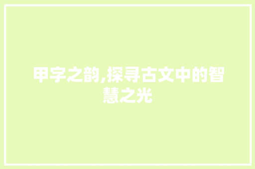 甲字之韵,探寻古文中的智慧之光
