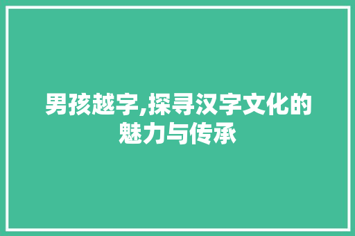 男孩越字,探寻汉字文化的魅力与传承