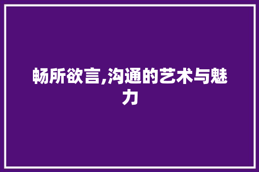 畅所欲言,沟通的艺术与魅力