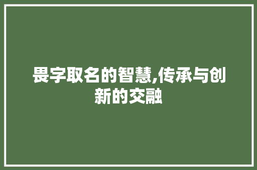 畏字取名的智慧,传承与创新的交融