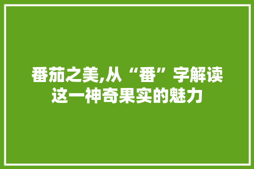 番茄之美,从“番”字解读这一神奇果实的魅力