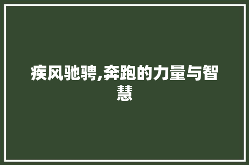 疾风驰骋,奔跑的力量与智慧