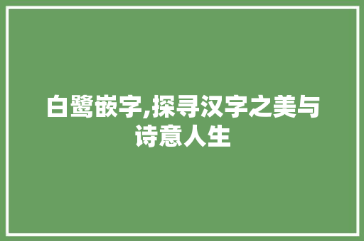 白鹭嵌字,探寻汉字之美与诗意人生