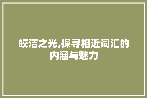 皎洁之光,探寻相近词汇的内涵与魅力