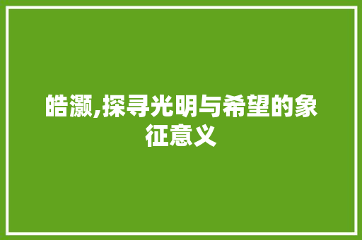 皓灏,探寻光明与希望的象征意义
