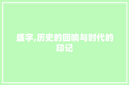 盛字,历史的回响与时代的印记