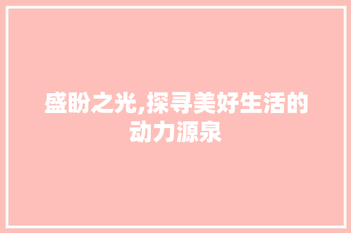 盛盼之光,探寻美好生活的动力源泉 工作总结