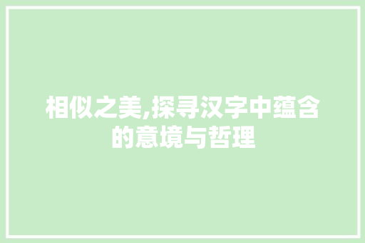相似之美,探寻汉字中蕴含的意境与哲理 职场写作