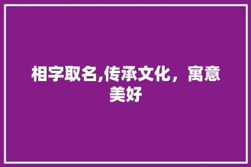 相字取名,传承文化，寓意美好