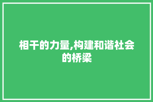 相干的力量,构建和谐社会的桥梁
