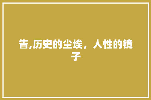 眚,历史的尘埃，人性的镜子