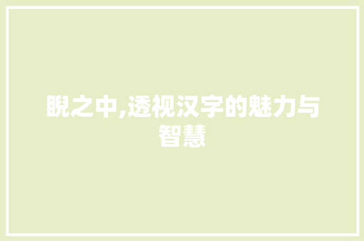 睨之中,透视汉字的魅力与智慧