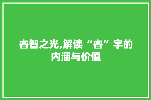 睿智之光,解读“睿”字的内涵与价值