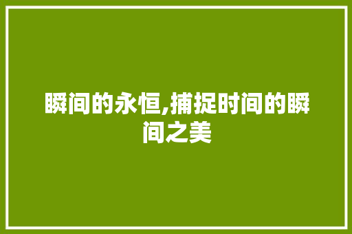 瞬间的永恒,捕捉时间的瞬间之美
