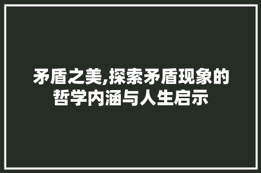 矛盾之美,探索矛盾现象的哲学内涵与人生启示