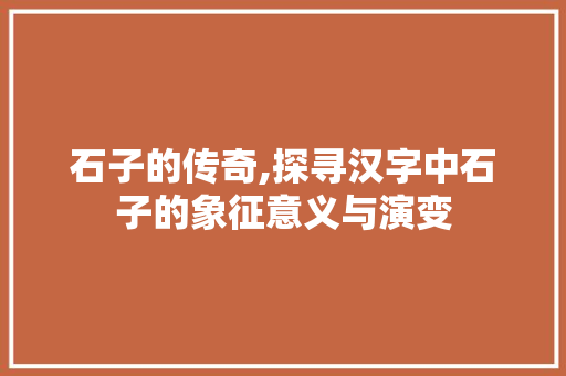 石子的传奇,探寻汉字中石子的象征意义与演变 工作总结