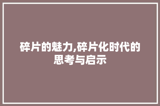 碎片的魅力,碎片化时代的思考与启示 社交媒体