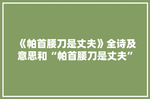《帕首腰刀是丈夫》全诗及意思和“帕首腰刀是丈夫”的拼音注释