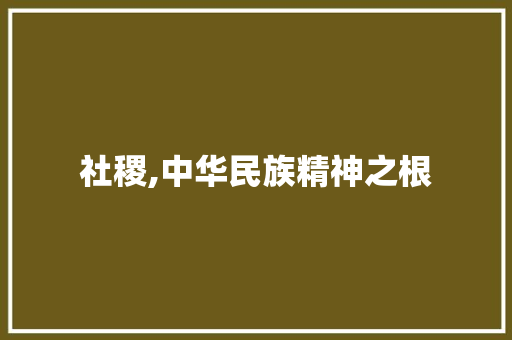 社稷,中华民族精神之根