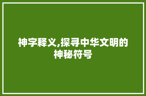 神字释义,探寻中华文明的神秘符号