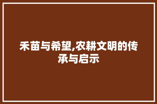 禾苗与希望,农耕文明的传承与启示